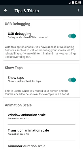Developer Options screenshot 3