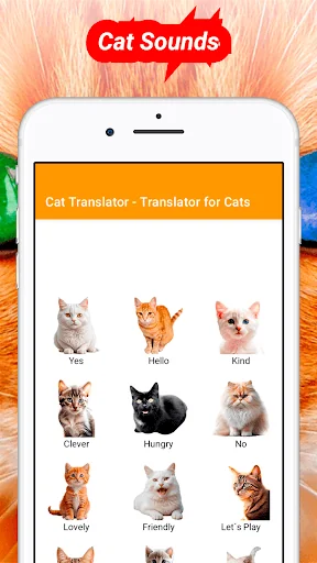 Translator for Cats Prank screenshot 3