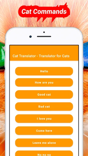 Translator for Cats Prank screenshot 4