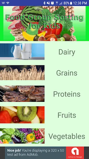 Food Group Sorting for Kids