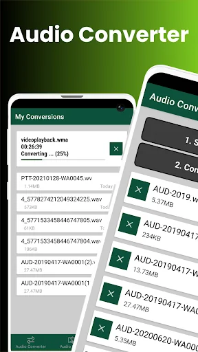 Audio Converter