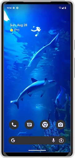 White Shark HD Video Wallpaper