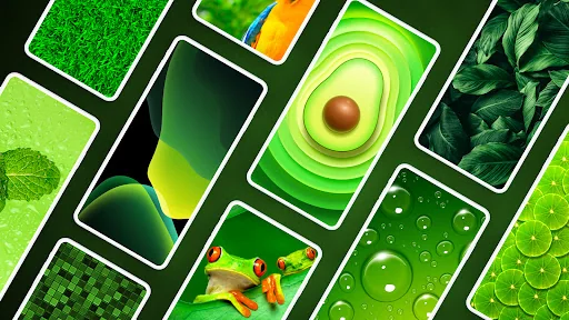 Green Wallpapers 4K