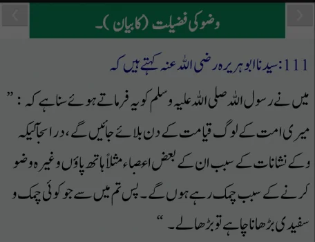 Sahih Bukhari - Urdu screenshot 3