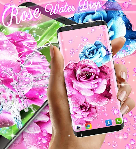 Rose pink water drop wallpaper