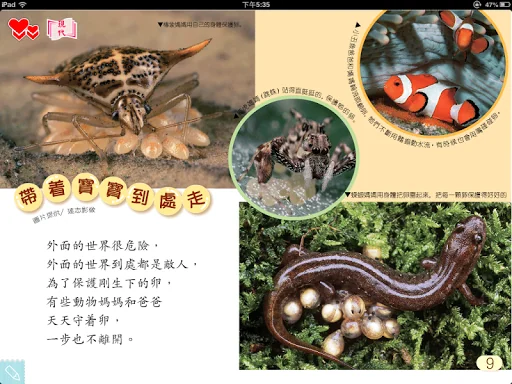閱讀摩天輪 screenshot 4