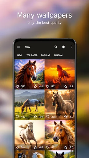 Horse Wallpapers 4K screenshot 2
