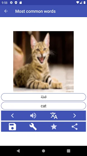 Learn Arabic phrases