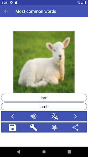 Learn Dutch phrases