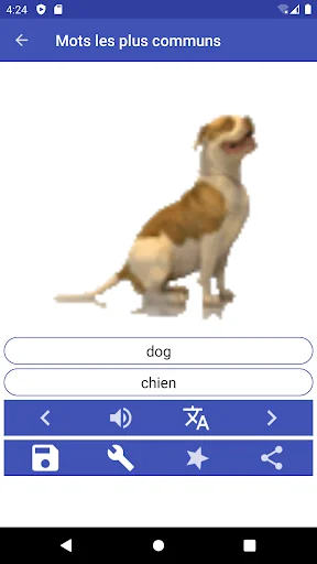 Learn 100 Languages