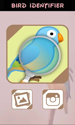 Automatic Bird Identifier