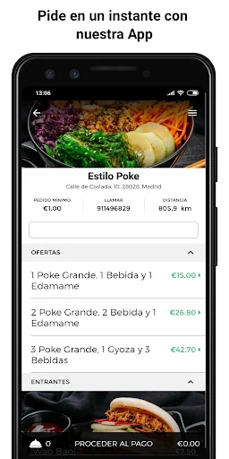 Estilo Poke