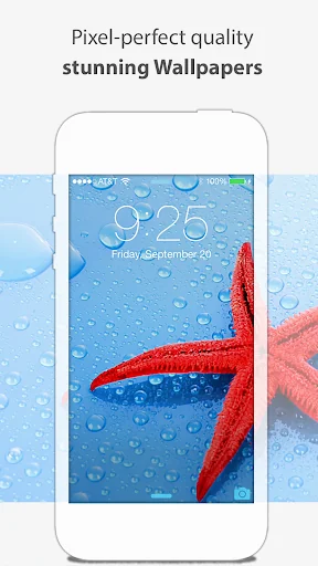 Wallpapers: phone and tablet screenshot 1