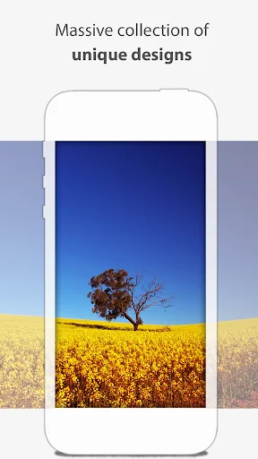 Wallpapers: phone and tablet screenshot 4