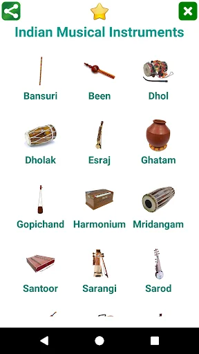 Indian Musical Instruments