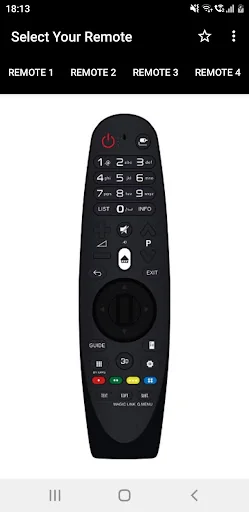 LG TV Remote