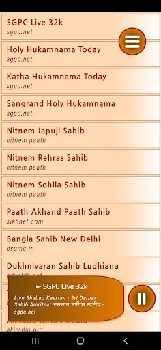 Live Kirtan Golden Temple