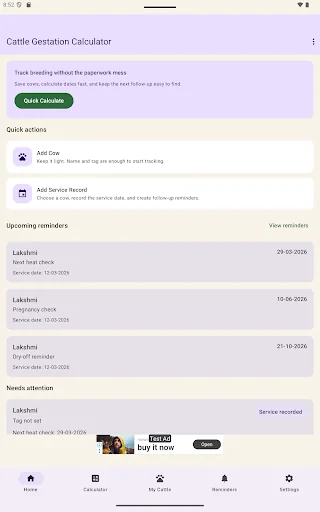 Cattle Gestation Calculator