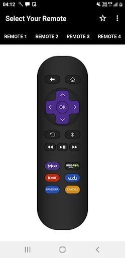 Roku Express Remote