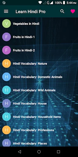Learn Hindi Pro