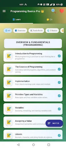 Programming Basics Pro