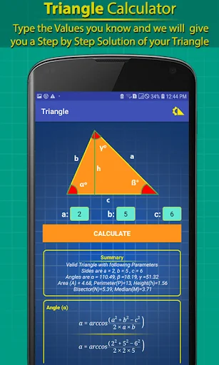 Triangle Calculator Pro - AI screenshot 3