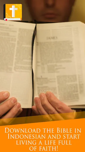 Indonesian Bible screenshot 2