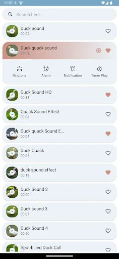 Duck Sounds screenshot 4