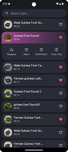 Guinea Fowl Sounds