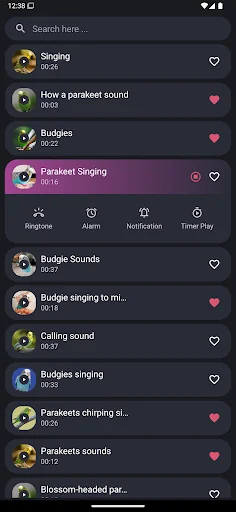 Parakeet Sounds