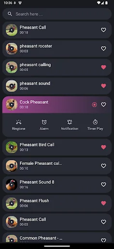 Pheasant Sounds
