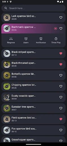Sparrow Bird Sounds