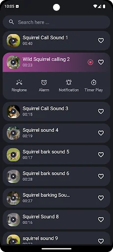 Squirrel Sounds