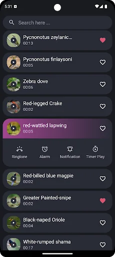 Thai Bird Sounds screenshot 1