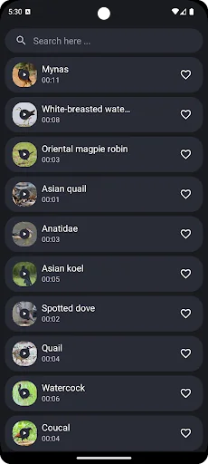 Thai Bird Sounds screenshot 3