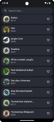 Thai Bird Sounds screenshot 4