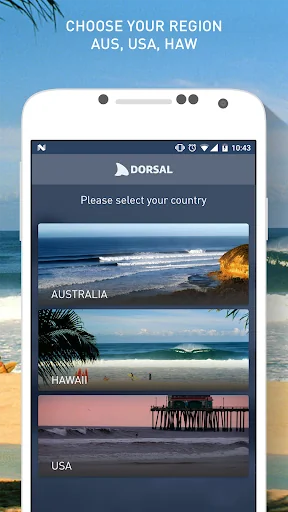 Dorsal Shark Reports