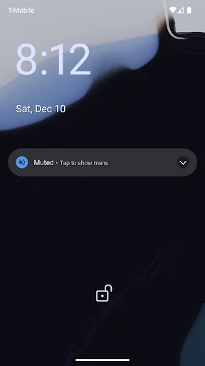 DoNotSpeak: Mute speakers