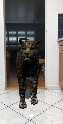 Animal Safari AR screenshot 1