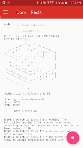 Dory - Redis Server