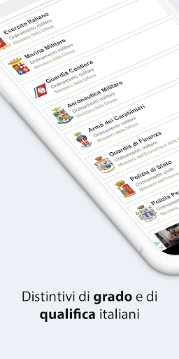 Distintivi italiani
