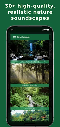 Relax Forest: sleep sounds screenshot 4