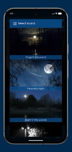 Relax Night: sleep sounds screenshot 3