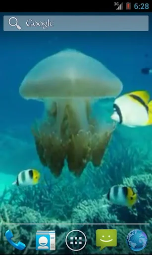 Jellyfish Video Live Wallpaper screenshot 2