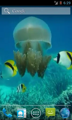 Jellyfish Video Live Wallpaper screenshot 3