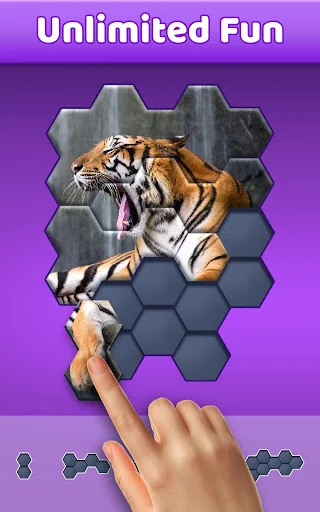 Hexa Jigsaw Puzzle ®