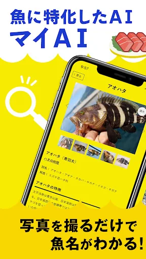 マイAI-AIが魚を判定する魚図鑑