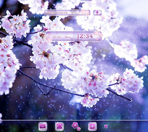 Cherry Blossoms in the Rain