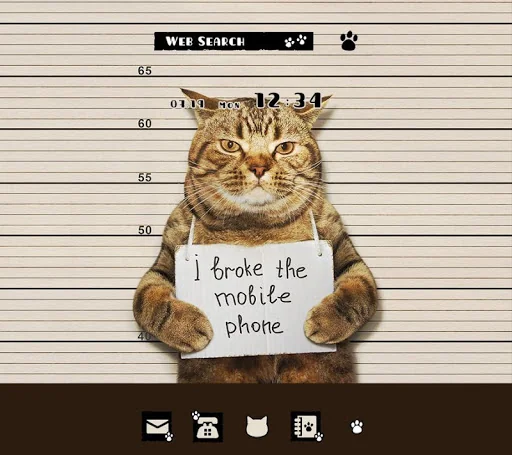 Cat Mug Shot Theme