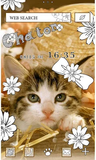 Cat Wallpaper Chaton screenshot 1